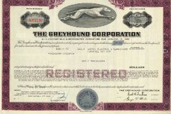 Greyhound