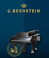 Carl Bechstein