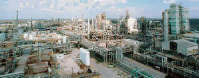 Celanese