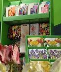 Herlitz-Susy Card