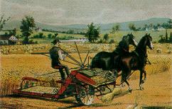 Massey-Ferguson
