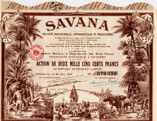 Savana