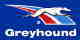 Greyhound Logo