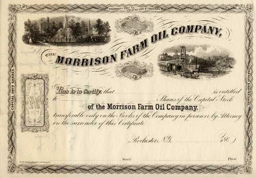 Morrison Farm Oil