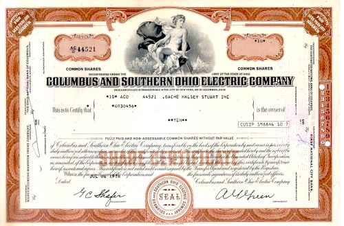 Columbus and Southern Ohio Electric