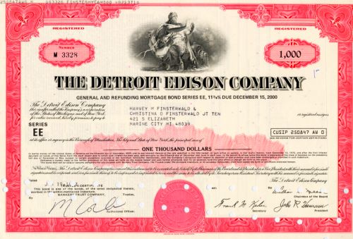 Detroit Edison